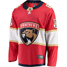Load image into Gallery viewer, Alexander Petrovic Florida Panthers Player Swingman Jersey